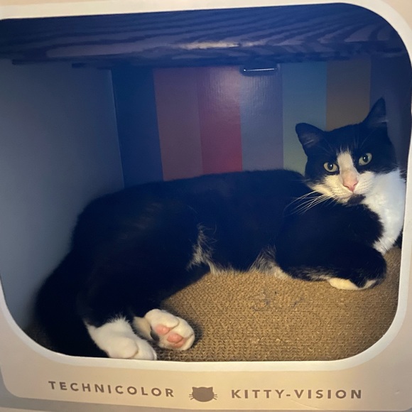 Mostly a buyer/browser, sometimes a seller :). - Picture 5 of 6